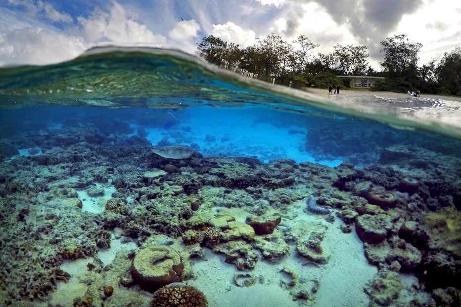 Coral, Austrália, Grande Barreira, GBC, alterações climáticas