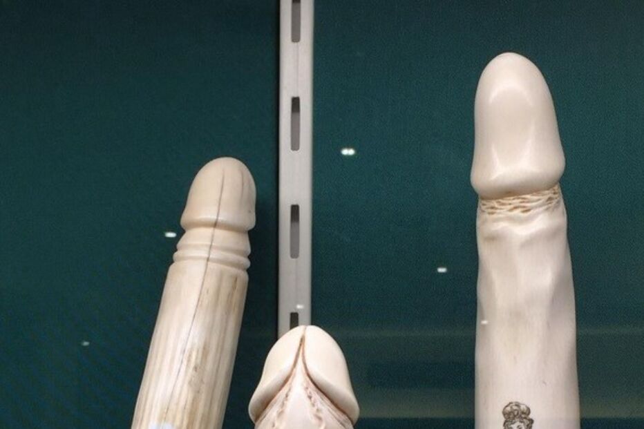 22-04-2016_10_54_37 raquel6.jpg