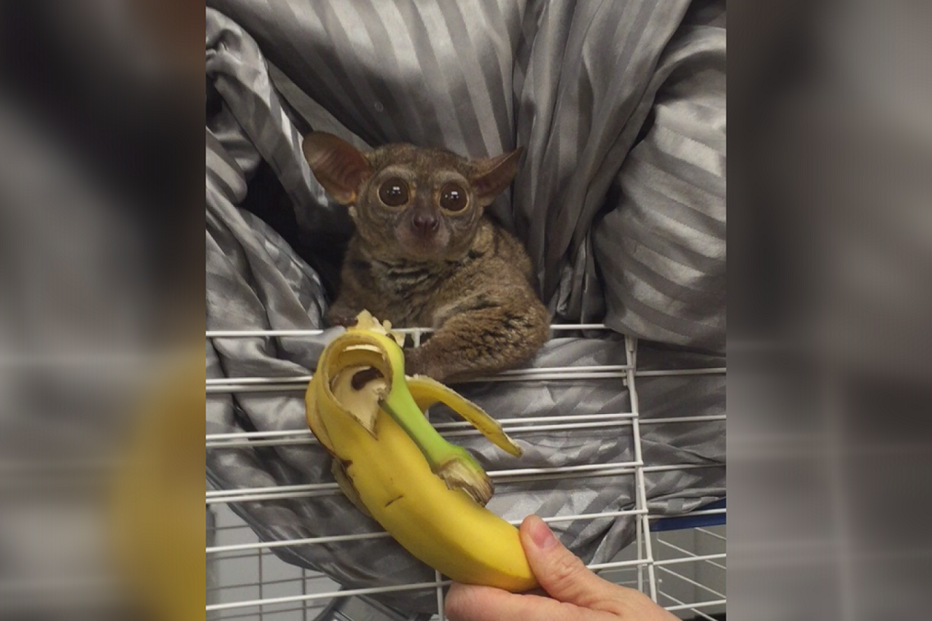 23-04-2016_11_47_07 Still0423_00001.jpg