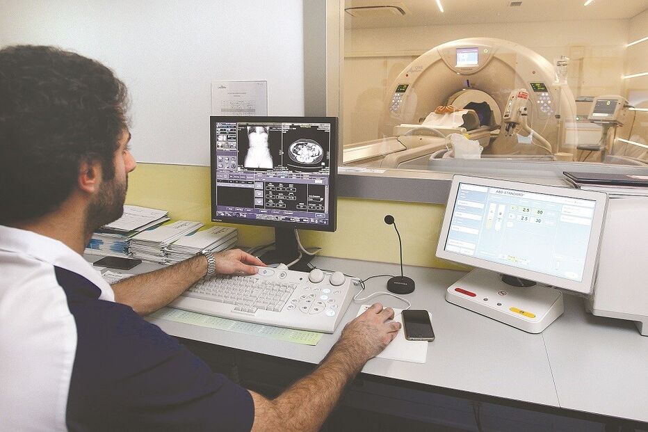 cancro, gástrico, estômago, 