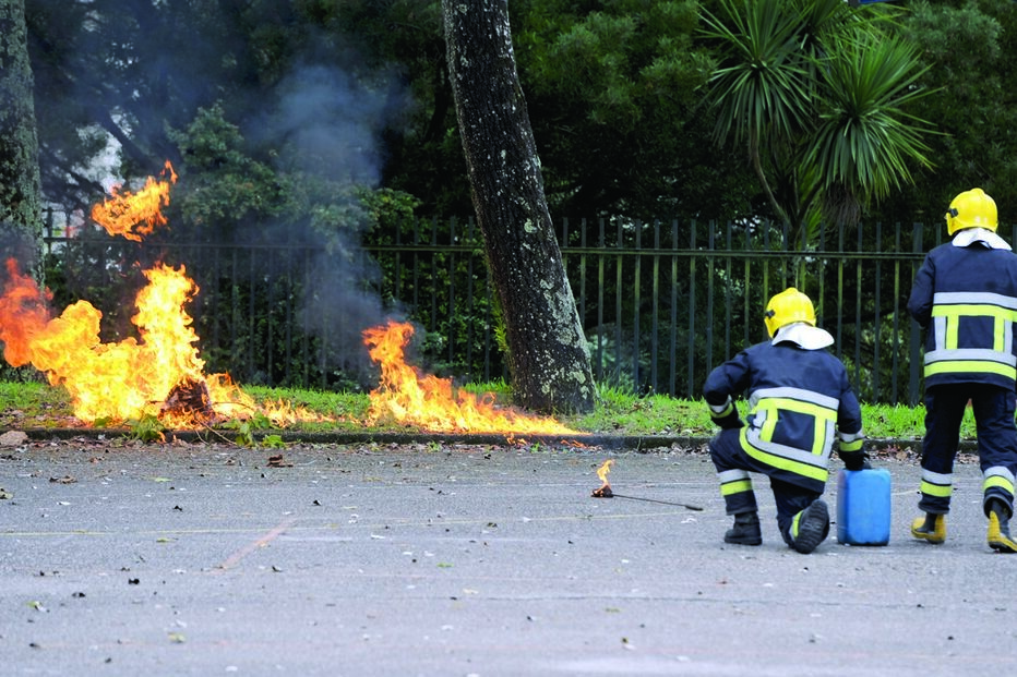 Câmara, ninhos, vespa, Braga, Vespa velutina, Póvoa de Lanhoso