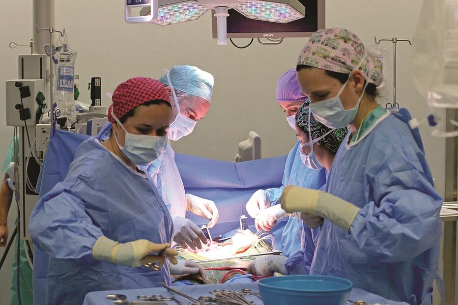 cirurgias, Centro Hospitalar do Algarve, CHA, 