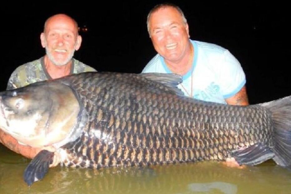 cinzas, morte, isco, peixe, carpa, Tailândia, insólito