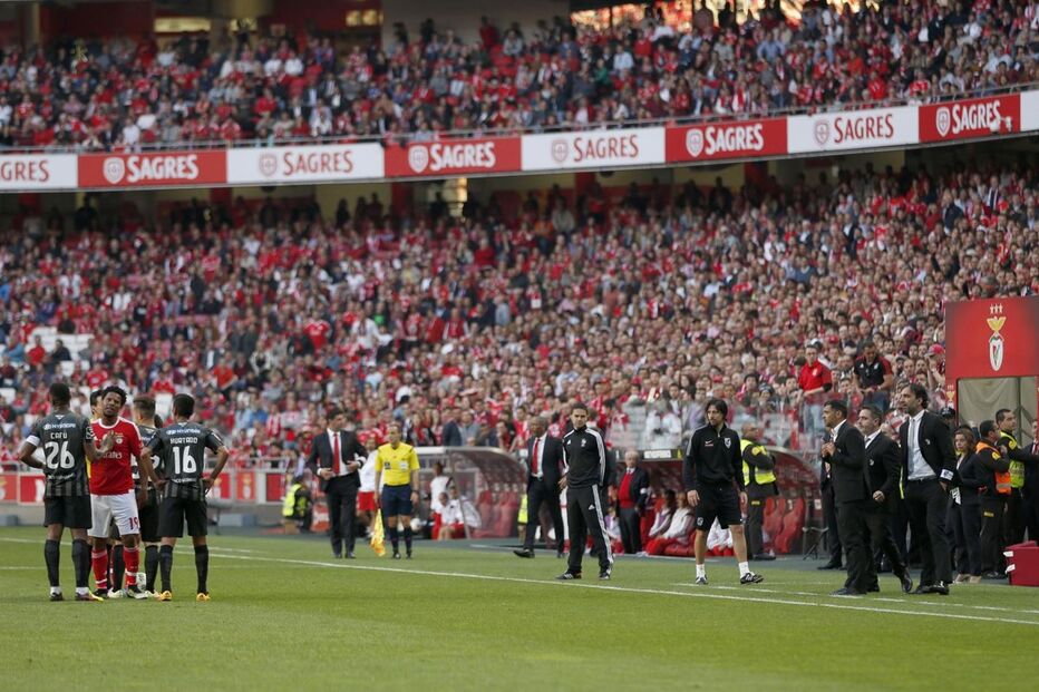 Benfica, desporto, futebol