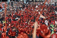 Governo, estudantes, Politécnicos, doutoramento, educação, universidades, ensino