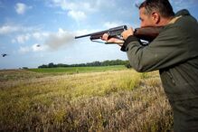 caçadores, caça, pan