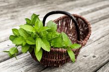 30-05-2016_12_21_50 menta.jpg