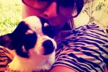 Maria João Bastos, cadela, chihuahua, Amélie, animal de estimação