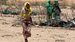 Quase 26 milhões de pessoas precisam de ajuda humanitária na Etiópia