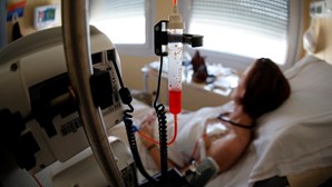 Doenças do aparelho circulatório e tumores representaram quase metade das mortes em 2022