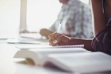 Assembleia Municipal das Caldas da Rainha, educação, colégios