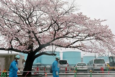 Central nuclear japonesa
