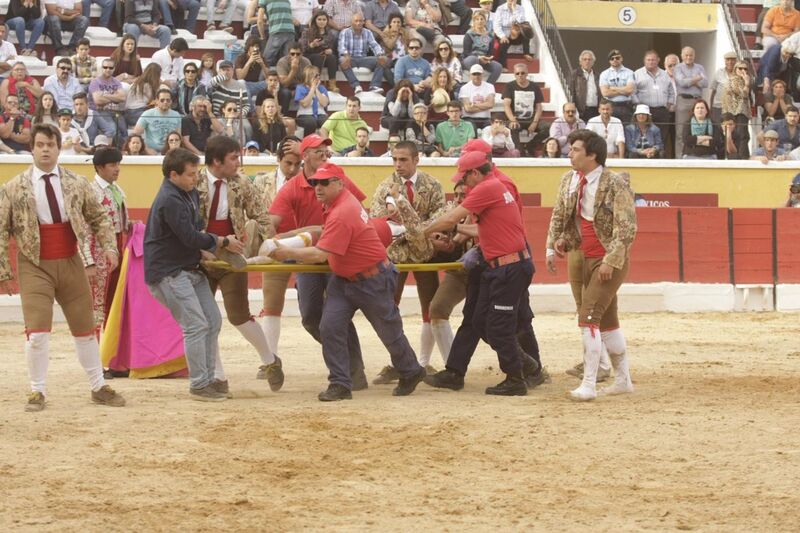 Touros na Moita em domingo de sol - Cultura - Correio da Manhã