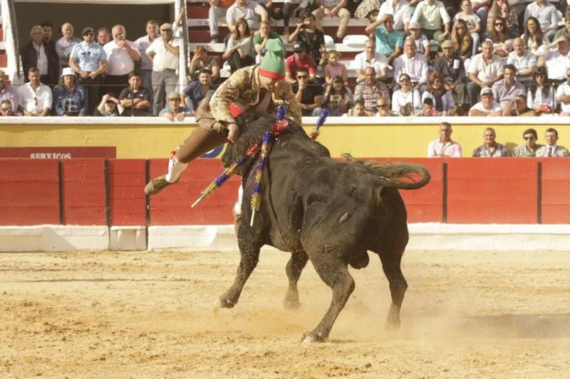 Touros na Moita em domingo de sol - Cultura - Correio da Manhã