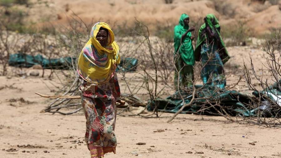 No leste de África, o país mais afetado é a Etiópia, que enfrenta "a pior seca em 50 anos"