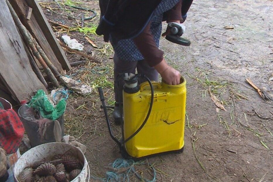 Organização Mundial de Saúde, OMS, Portugal, Câmaras Municipais, pesticida
