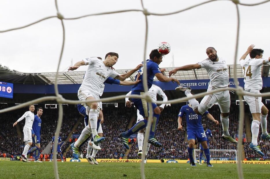 leicester, adeptos, futebol, premier league