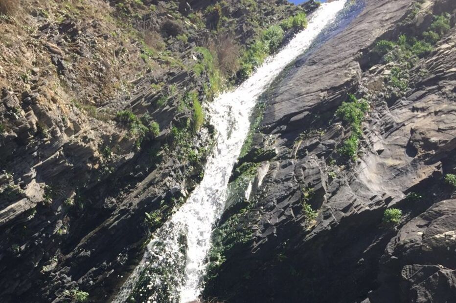 03-05-2016_09_50_44 jess5.jpg