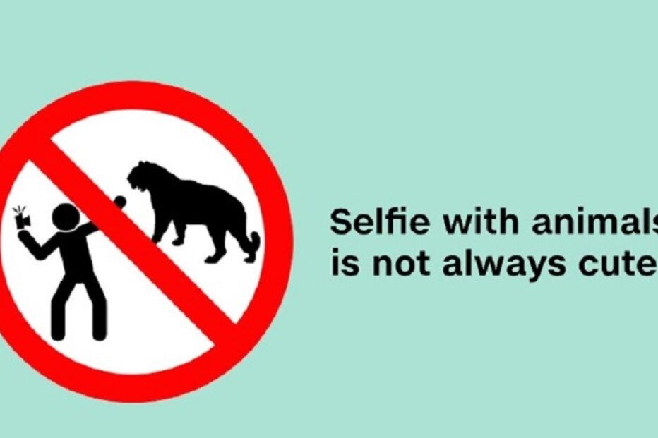 03-05-2016_11_00_53 7.jpg