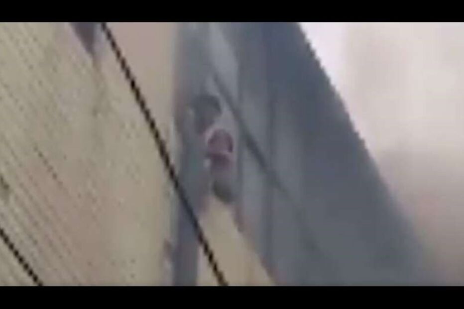 Incêndio, Coreia do Sul, Pyeongtaek, vídeo viral