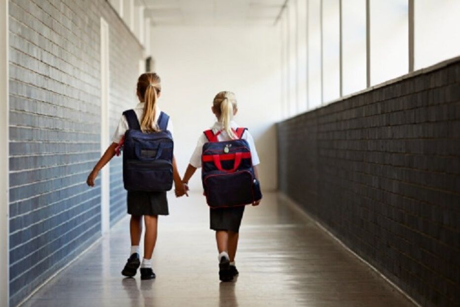 Federação Nacional da Educação, FNE,  escolas