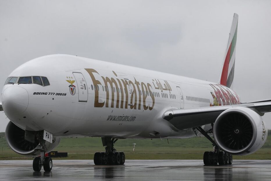 Benfica, Desporto, Futebol, Luisão, Gaitán, Desporto