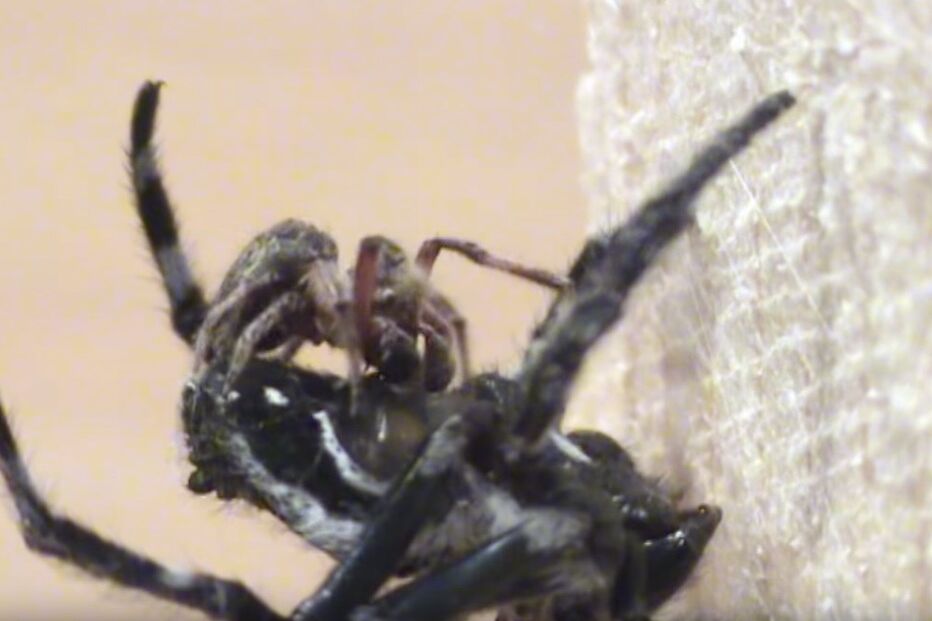 06-05-2016_13_43_21 sexo oral.jpg