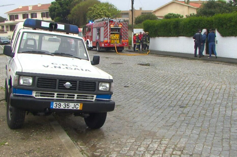 incêndio, beagle, Gulpilhares