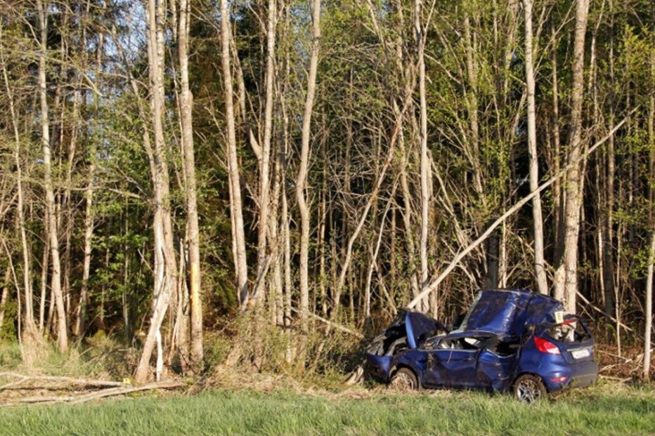 Estónia, acidente, português