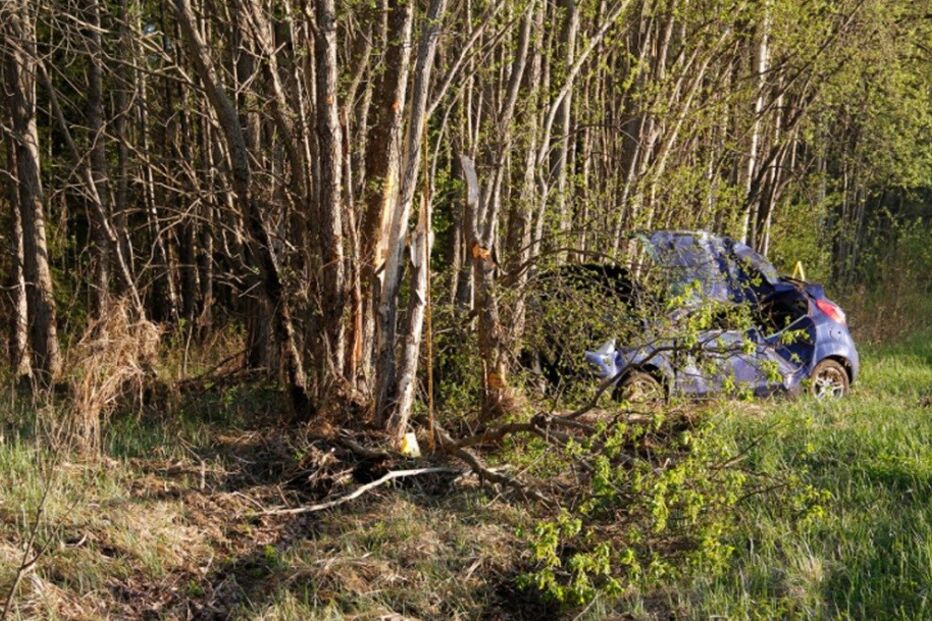 Estónia, acidente, português