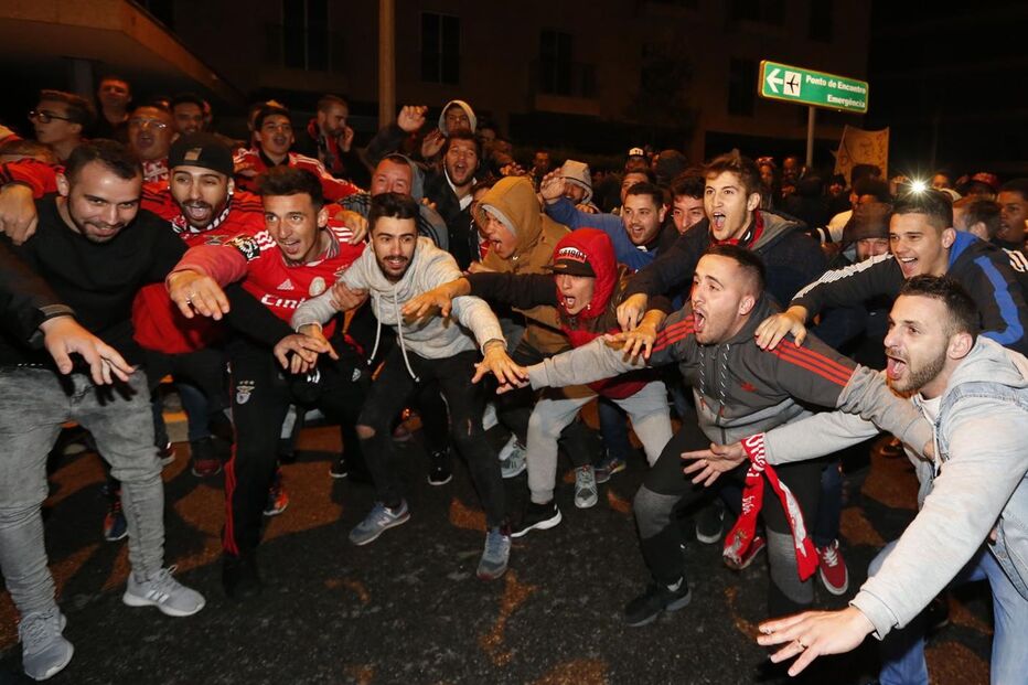 benfica, adeptos, estádio