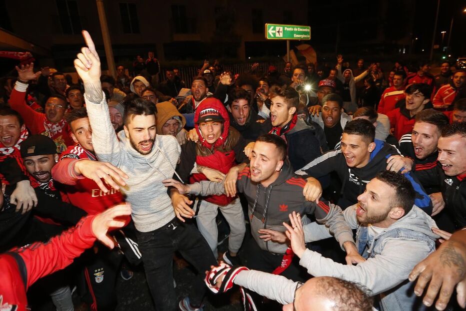 benfica, adeptos, estádio