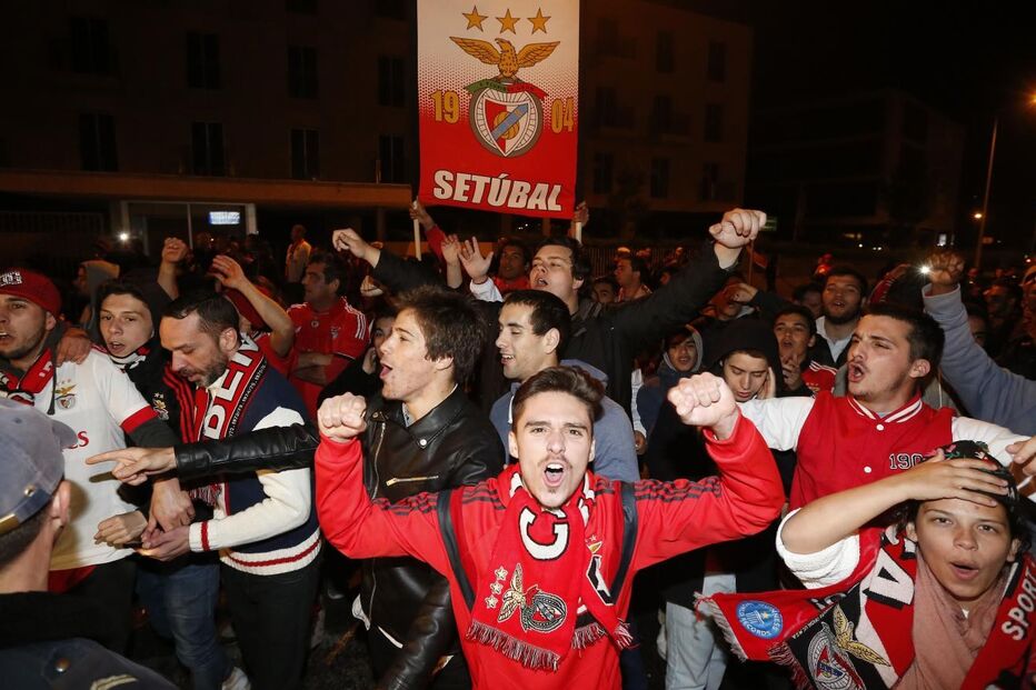 benfica, adeptos, estádio