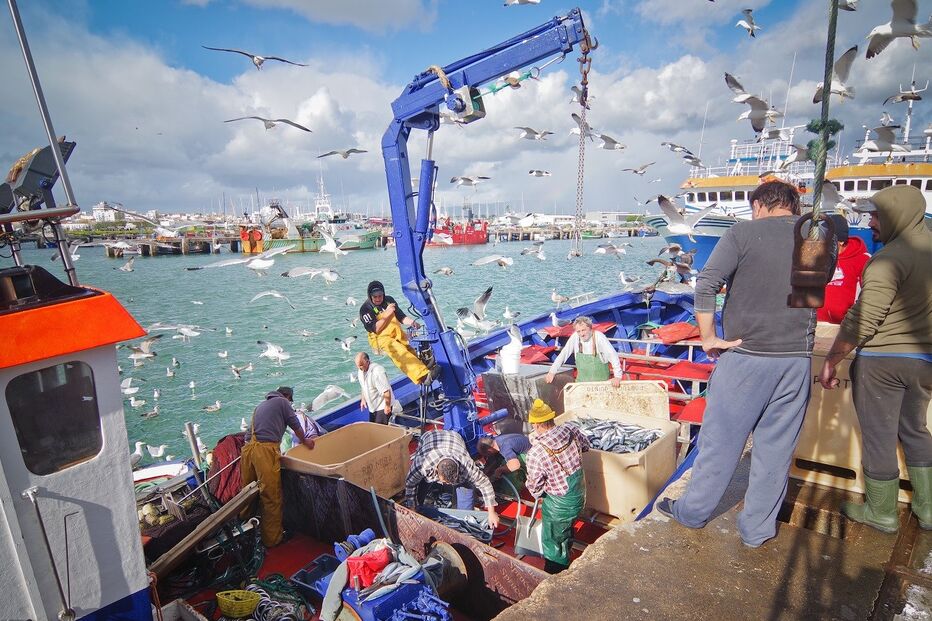 13-05-2016_01_32_48 11221081.jpg