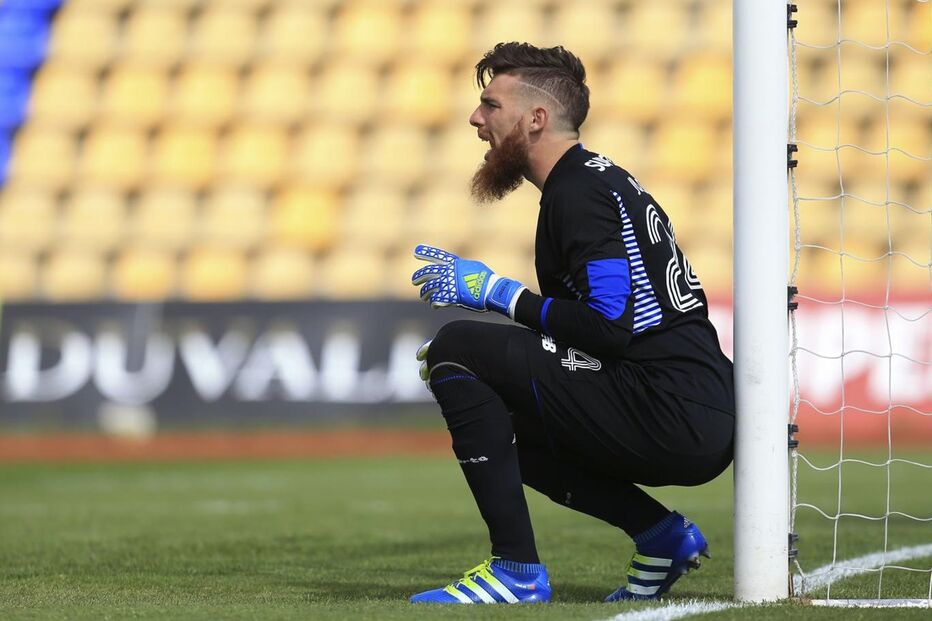 José Sá, FC Porto, Desporto, Futebol 