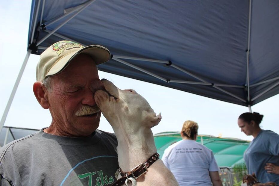 Cadela, animais, linguagem gestual, Cha Cha, adoção, adoção animais, centro de reabilitação