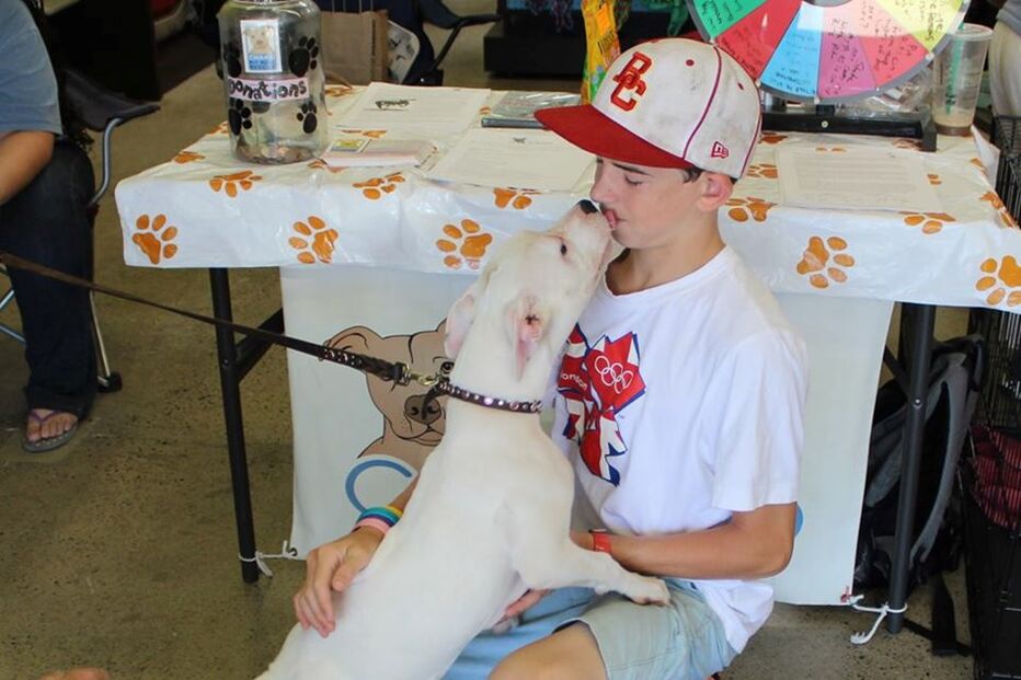 Cadela, animais, linguagem gestual, Cha Cha, adoção, adoção animais, centro de reabilitação