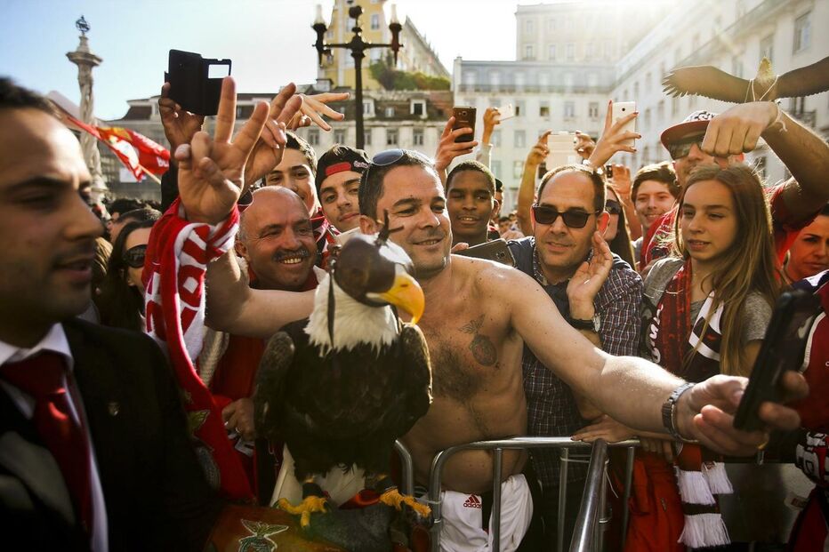 benfica, câmara, lisboa