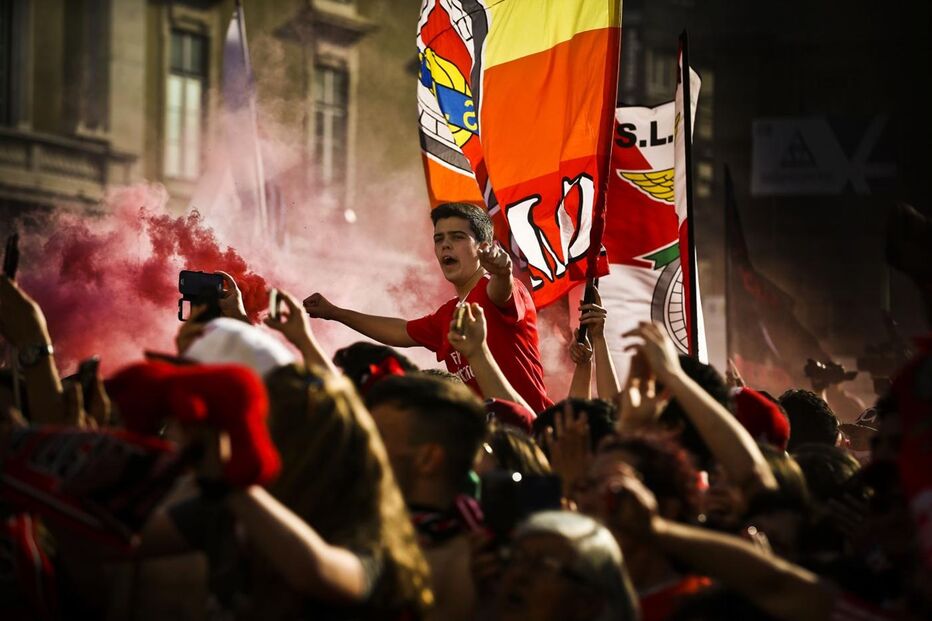benfica, câmara, lisboa