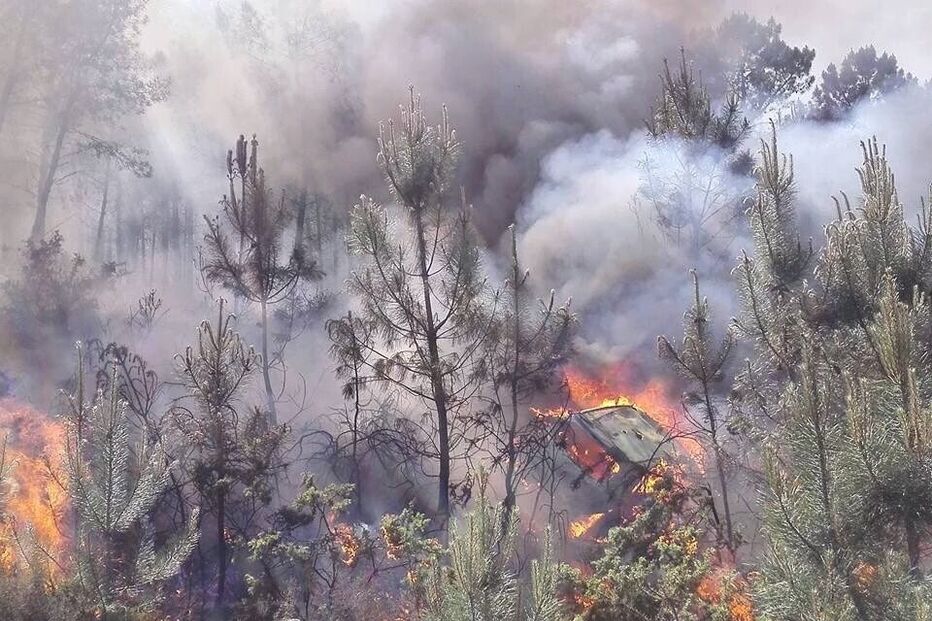 20-05-2016_17_03_33 Ci6JhU7WsAEk_d-.jpg large.jpg