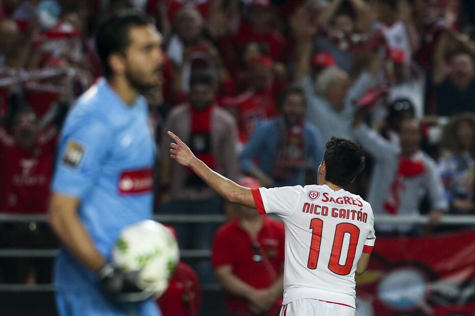 Nico Gaitán, Benfica, Desporto, Futebol, Atlético Madrid