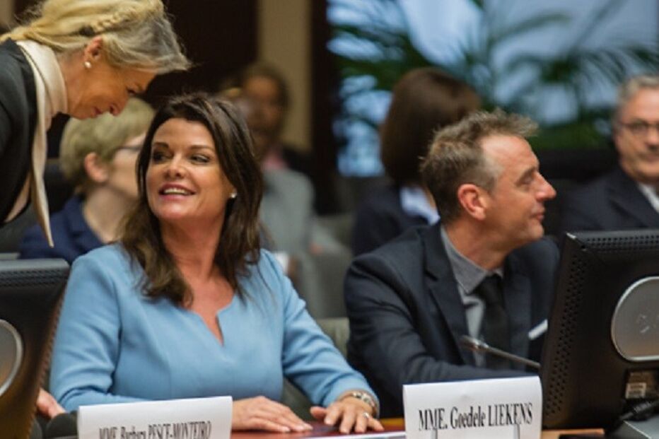 Goedele Liekens, sexóloga