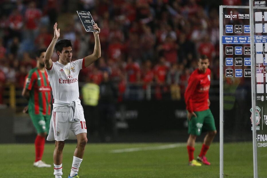 Nicolas Gaitan, Gaitan, Argentina, Copa América, Gerardo Martino, Benfica, futebol