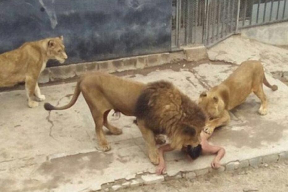 22-05-2016_10_49_31 leos.jpg