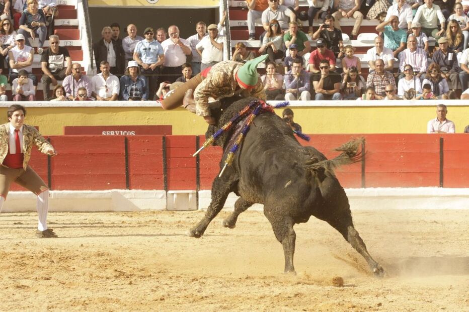Forcado, pega, Moita, corrida de touros, touros, tauromaquia, José Maria Ferreira