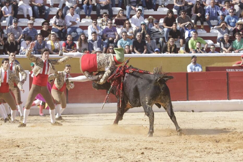 Forcado, pega, Moita, corrida de touros, touros, tauromaquia, José Maria Ferreira