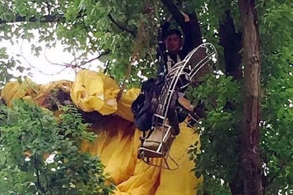 pedido, casamento, paraquedas, preso, árvore, China, 