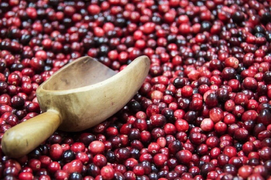 30-05-2016_12_21_48 cranberries.jpg