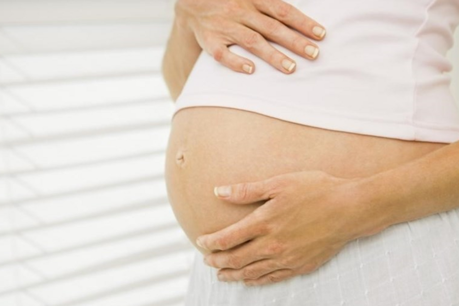 Associação Portuguesa de Fertilidade, Presidente da República, família, barrigas de aluguer