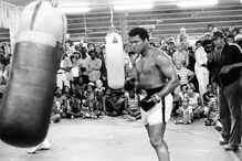 Muhammad Ali, morte, problemas respiratórios, boxe